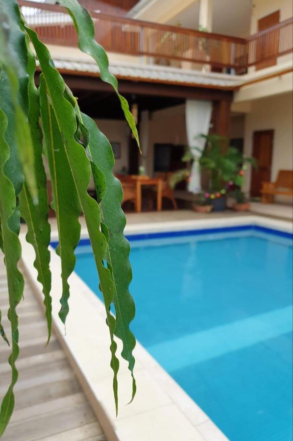 Amalia Apartments Paramaribo Exteriér fotografie