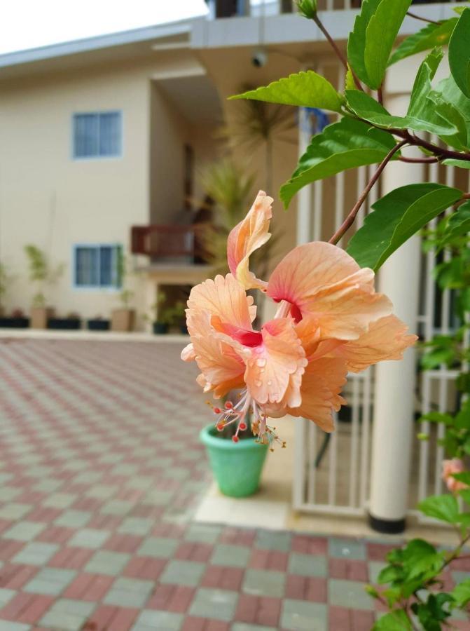 Amalia Apartments Paramaribo Exteriér fotografie